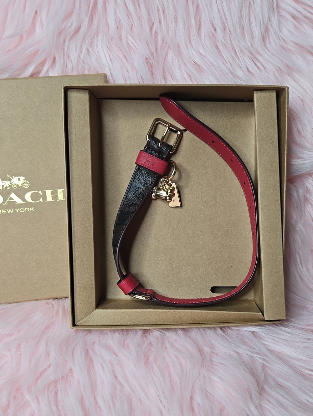 Coach Boxed Pet Collar in Signature Canvas